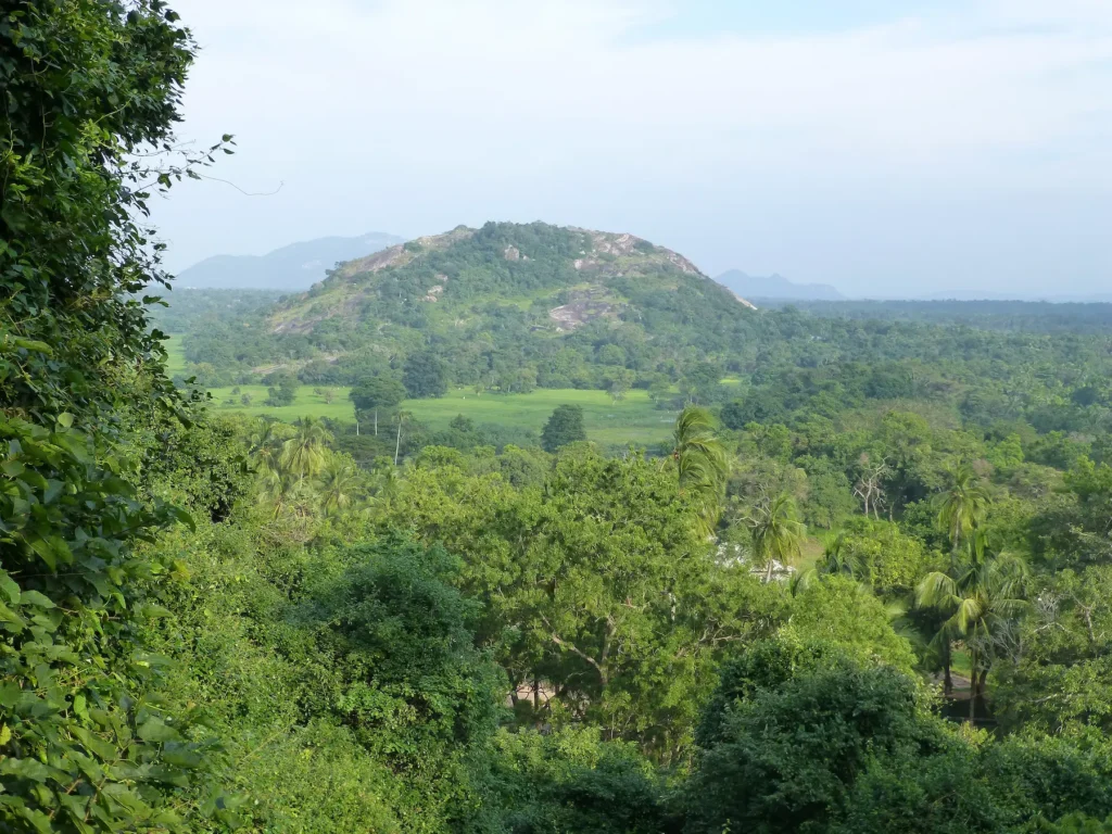 Yapahuwa_(15)