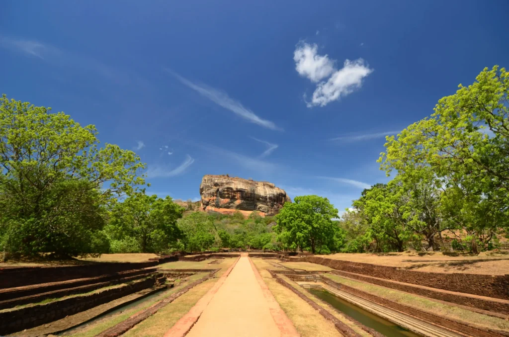 iStock_000020724640_Full-scaled