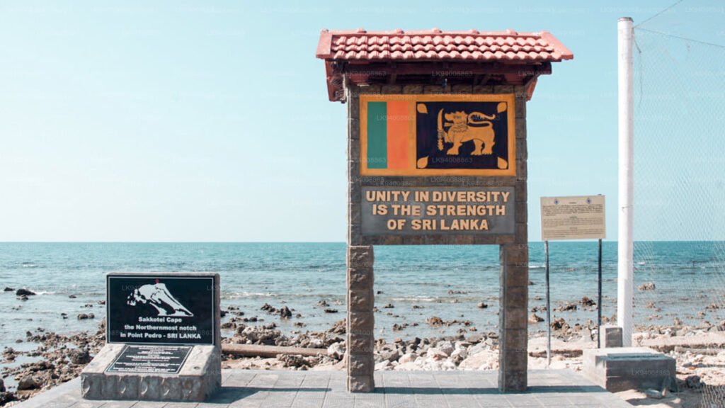 point pedro-E